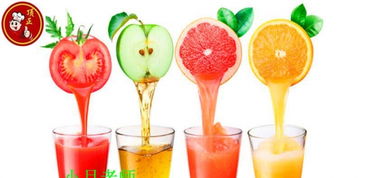 万元以下冷饮加盟指南 低成本打造特色冰爽事业